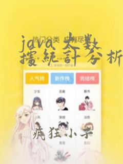 java 大数据统计分析