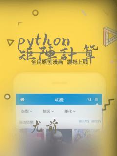 python 矩阵计算