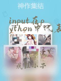 input在python中代表什么