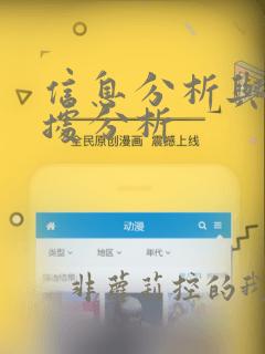 信息分析与大数据分析