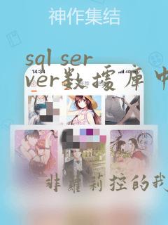 sql server数据库中间件