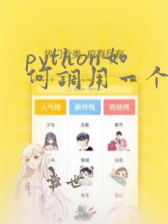 python如何调用一个函数