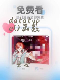 datatype()函数