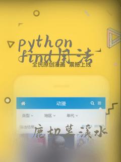 python find用法
