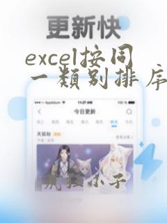 excel按同一类别排序