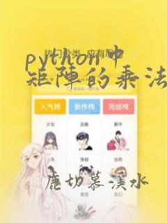 python中矩阵的乘法