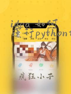 idea 如何运行python项目