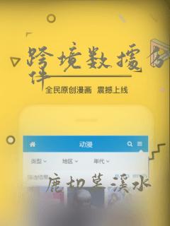 跨境数据分析插件