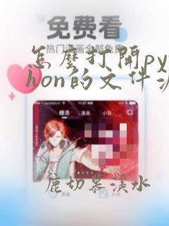 怎么打开python的文件源码