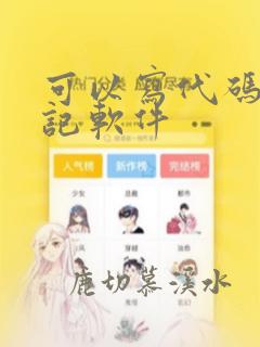 可以写代码的笔记软件
