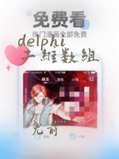 delphi 二维数组