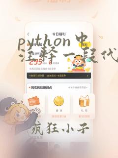 python中注释一段代码