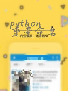 python 变量命名