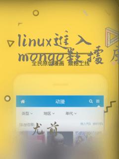 linux进入mongo数据库