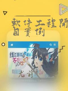 软件工程开发项目实例