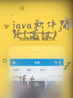 java软件开发(高级)