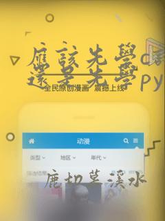 应该先学c语言还是先学python