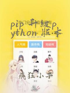pip 升级python 版本