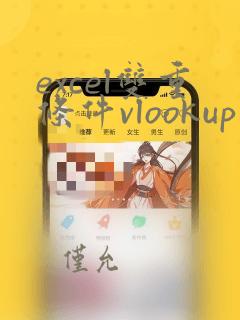 excel双重条件vlookup