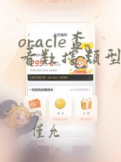 oracle查看数据类型