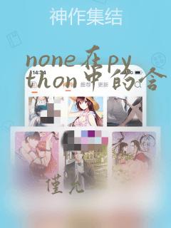 none在python中的含义
