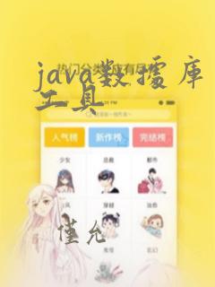 java数据库工具
