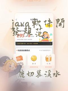 java软件开发规范