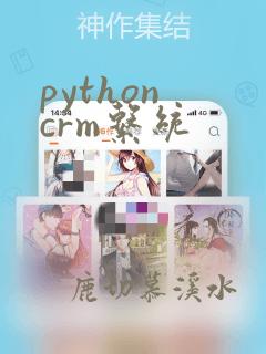 python crm系统