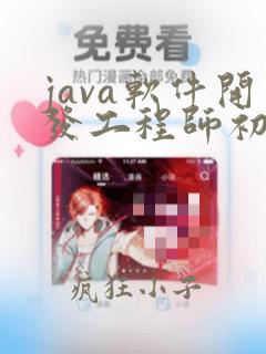java软件开发工程师初级