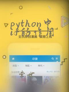 python中if的作用