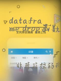 dataframe drop函数