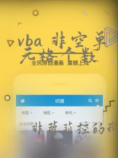 vba 非空单元格个数