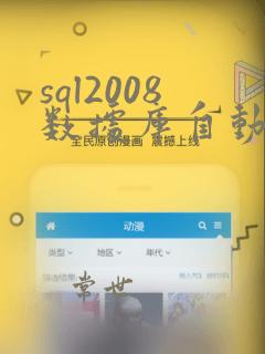 sql2008数据库自动备份方法
