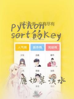 python sort的key