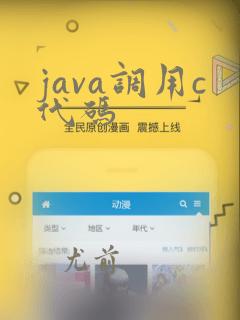 java调用c代码
