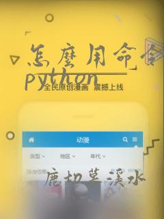 怎么用命令运行python