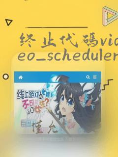终止代码video_scheduler_internal_error