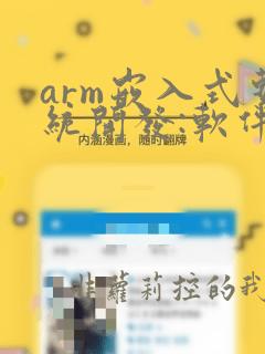 arm嵌入式系统开发:软件设计与优化