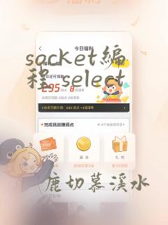 socket编程 select