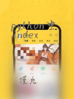python中.index