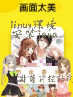 linux环境安装java