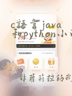 c语言java和python小白学哪个