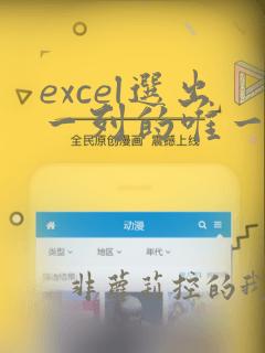 excel选出一列的唯一数据