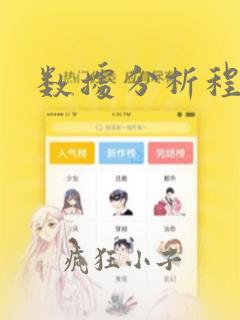 数据分析程序