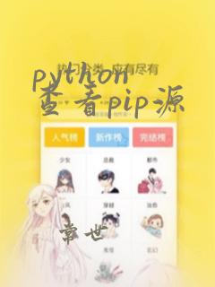 python 查看pip源
