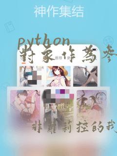 python 对象作为参数