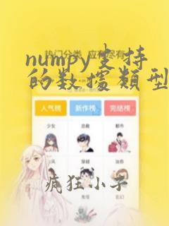 numpy支持的数据类型