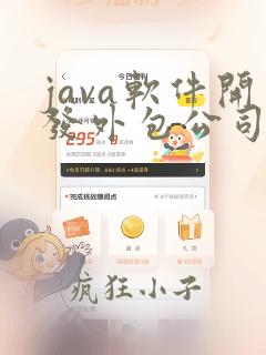 java软件开发外包公司