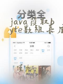 java获取byte数组长度