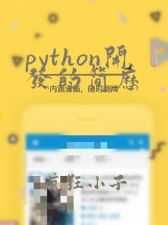 python开发的简历